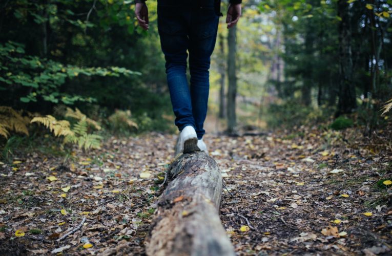 Tips for Balancing your Hormones Naturally  in Graham
